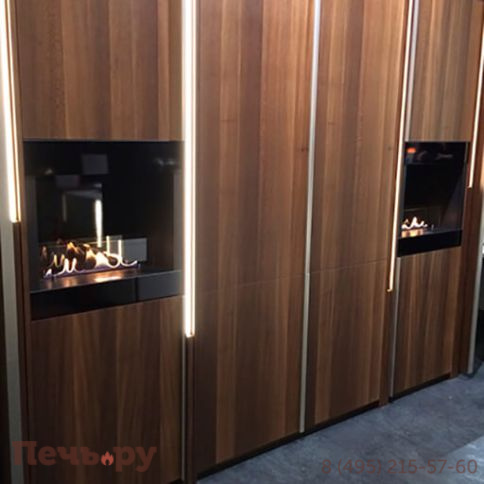 Биокамин Spartherm Ebios Cabinet Fire фото 2