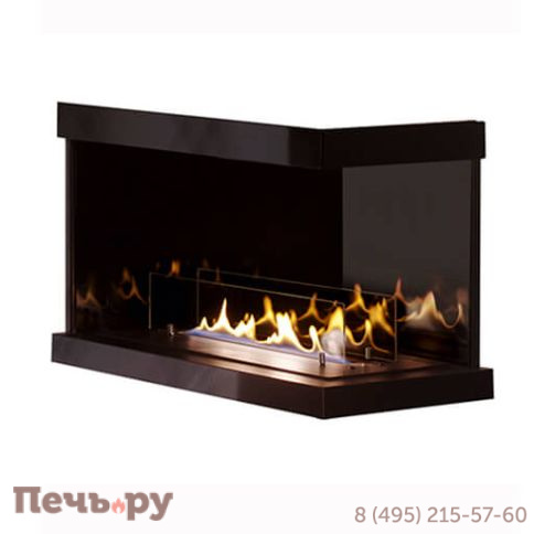 Биокамин Spartherm Ebios-Fire-2 стекла (автоматика) фото 2