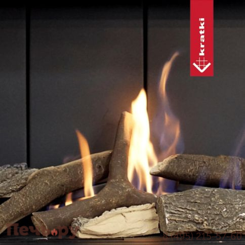 Газовый камин Kratki Pro Leo/100/TUNEL/G31/37MBAR (баллон) фото 2