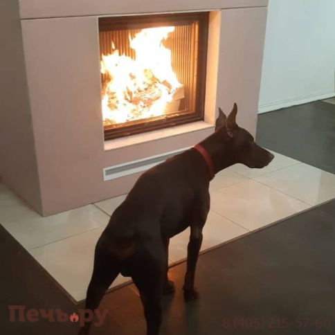 Каминная топка Астов ПС 9074 фото 12