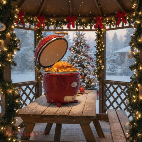 Керамический гриль Monolith Classic Pro Series 2.0 Red без ножек фото