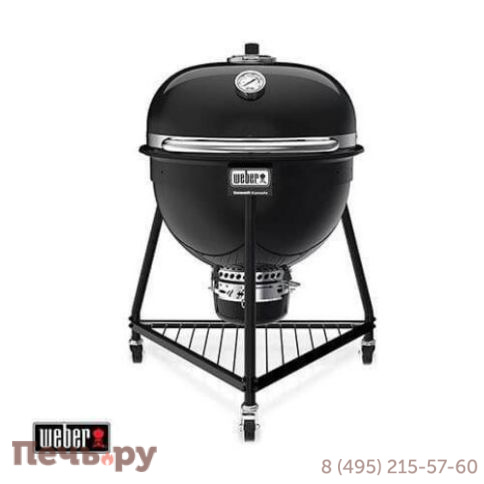 Угольный гриль Weber Summit Kamado E6 фото