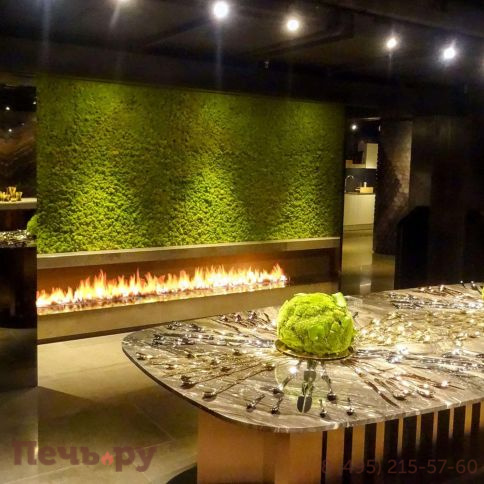 Встраиваемый биокамин SappFire 3000 фото 4